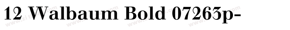 12 Walbaum Bold 07263p字体转换